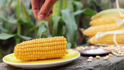 Boiled corn in nature. Close-up. Stock-Footage 221029067