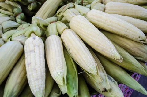 Boiled corn Stock Photos