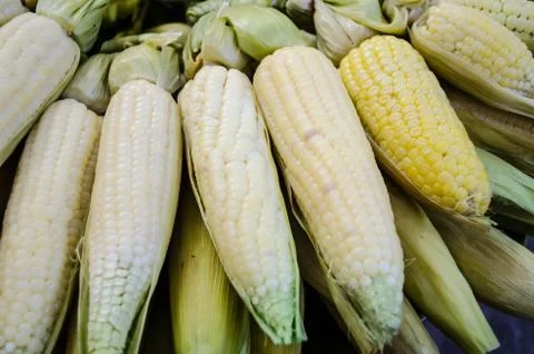 Boiled corn Stock Photos