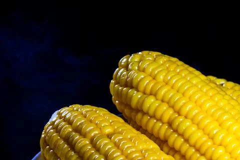 Boiled corn Stock-Fotos