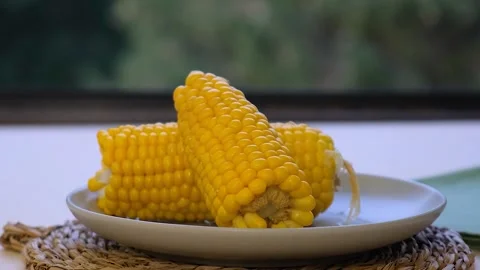 Boiled corn on a plate Stock Footage 287009322
