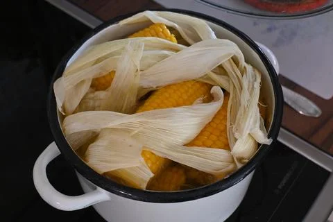 Boiled corn in a pot Stock-Fotos