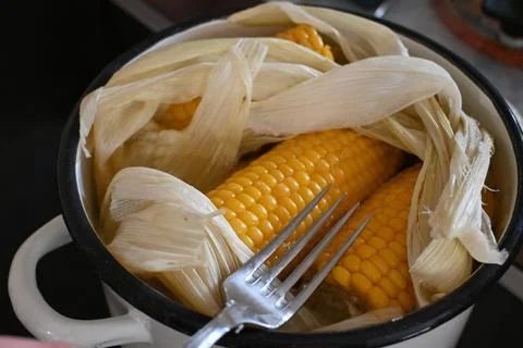Boiled corn in a pot Foto stock
