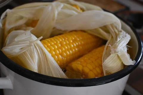 Boiled corn in a pot Stockfoto's