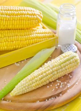 Boiled corn with salt Stock Photos