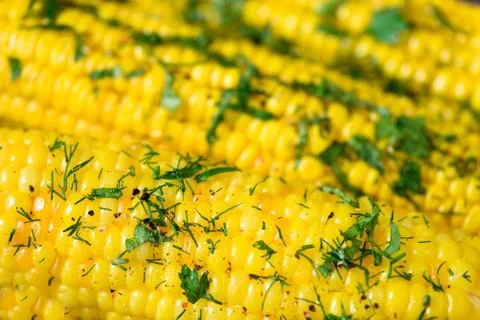 Boiled corn with spices on grey light concrete background. Copy space, macro. Stock Photos