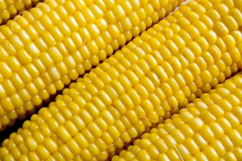 Boiled corn texture Stock Photos