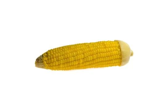 Boiled corn on white background Stock Photos