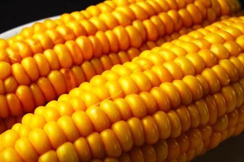 Boiled corn on a white plate, close-up, selective focus Foto stock
