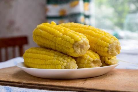 Boiled corn on a white plate in the kitchen Stock Photos