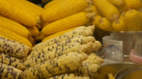 Boiled corns on steaming water Stock Footage 107821842