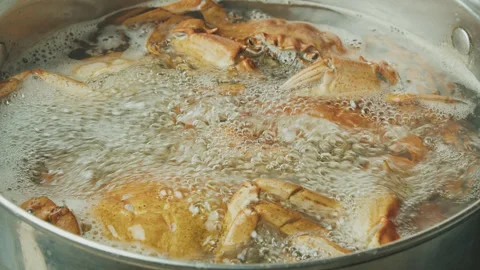 Boiled crab 1 Stock Footage 264578116