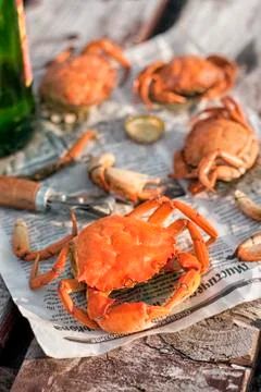 Boiled crabs Stock Photos