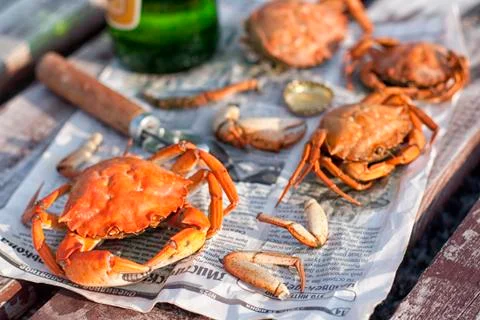 Boiled crabs Stock Photos