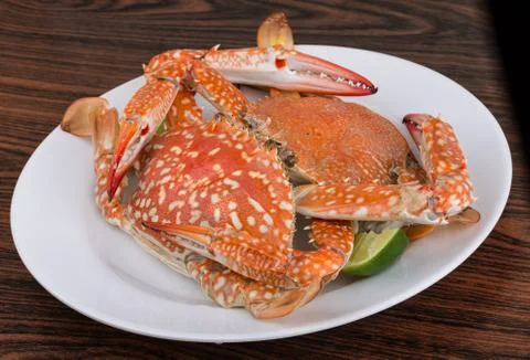 Boiled crabs Stock Photos