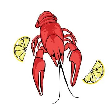 Boiled craw fish with lemon Stock Illustration