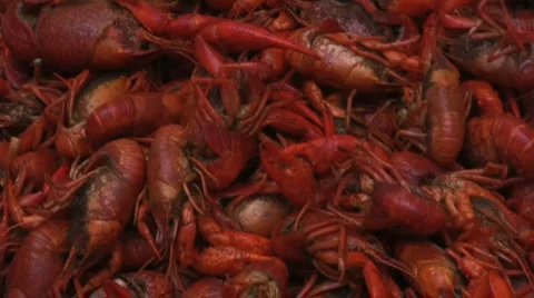 Boiled crawfish 2 Stock Footage 2648817