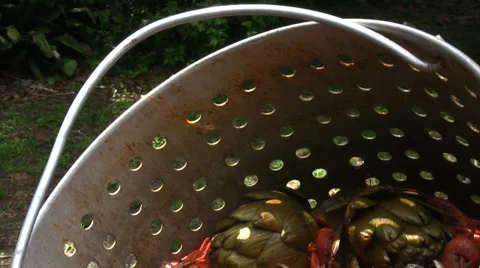 Boiled crawfish 5 Stock Footage 2714764