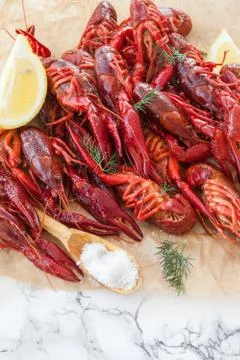 Boiled crawfish with dill Stock Photos