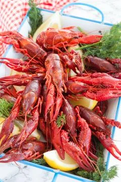 Boiled crawfish with dill Stock Photos