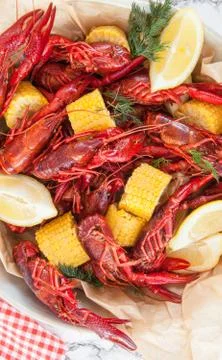 Boiled crawfish with dill Stock Photos