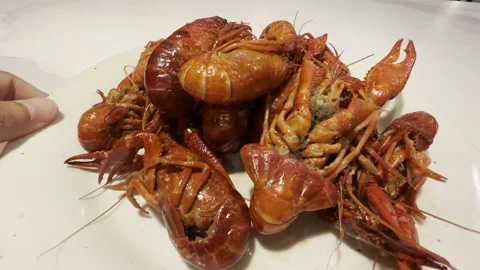 Boiled Crawfish Stock Footage 211259181