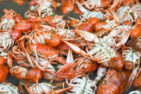 Boiled crawfish, fried crawfish, crawfish touffe, crawfish beignets. Crayfish Foto stock