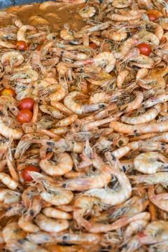 Boiled crawfish, fried crawfish, crawfish touffe, crawfish beignets. Crayfish Stock Photos