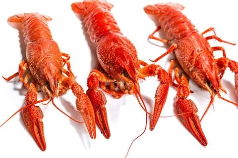 Boiled crawfish is isolated on a white background Fresh boiled crawfish on... Stockfoto's
