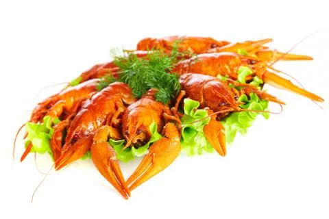 Boiled crawfish Stock Photos