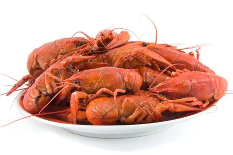 Boiled crawfish 스톡 사진