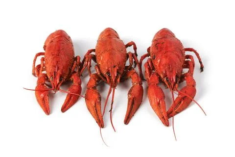 Boiled crawfish 스톡 사진