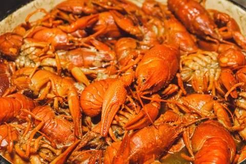 Boiled crawfish with spices. Stock Photos