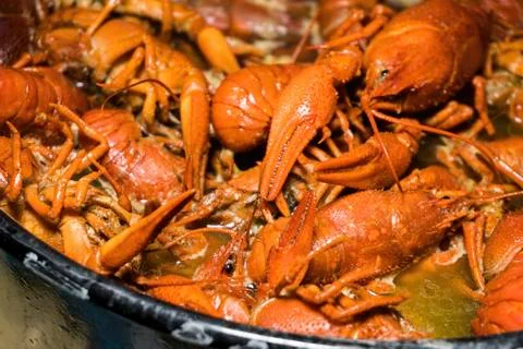 Boiled crawfish with spices. Stock Photos