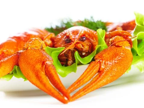 Boiled crawfish on a white background Stock Photos