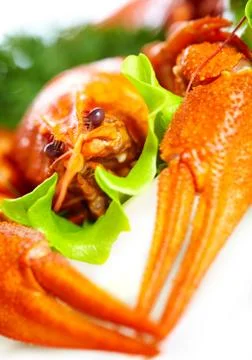 Boiled crawfish on a white background Stock Photos