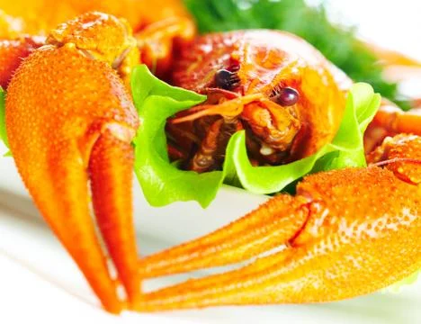 Boiled crawfish on a white background Stock Photos