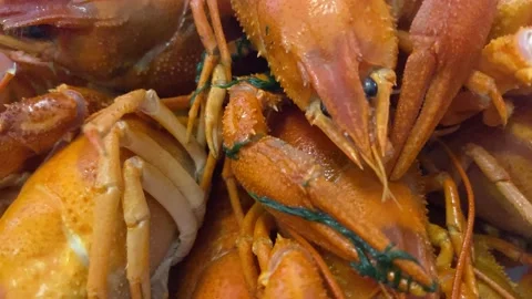 Boiled crayfish close-up 库存影片 156395459