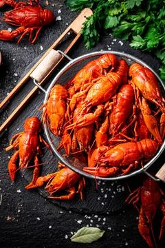 Boiled crayfish in a colander on a stone board. Stock Photos