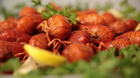 Boiled crayfish with herbs and Lemon Stock Footage 51017100
