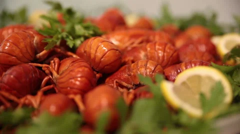 Boiled crayfish with herbs and Lemon Stock Footage 51017115