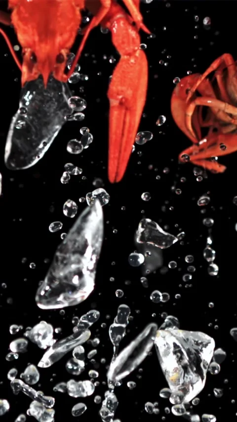 Boiled crayfish with lemon and ice rise up and fall down. Filmed on a high-speed Stock Footage 335292214