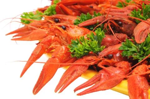 Boiled crayfish Stock Photos