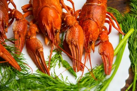 Boiled crayfish Stock Photos