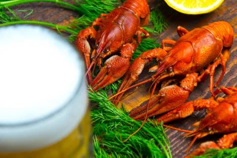 Boiled crayfish Stock Photos