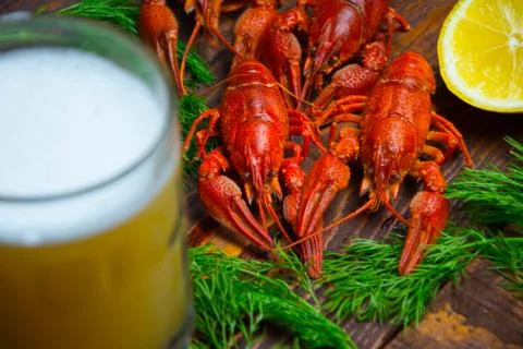 Boiled crayfish Stock Photos