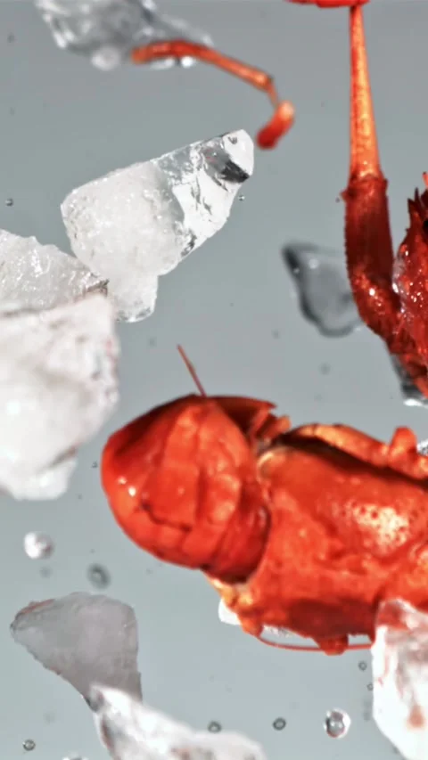 Boiled crayfish with pieces of ice fly up and fall down. Filmed on a high-speed Stock Footage 335292631