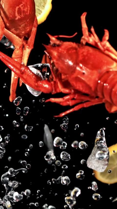 Boiled crayfish with pieces of lemon and ice rise up and fall. Filmed is slow Stock Footage 335292557
