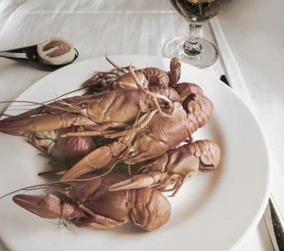 Boiled crayfish on a plate on the table Stock Photos