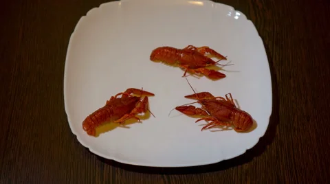 Boiled Crayfish On The Plate, Time Lapse Stock Footage 58815454